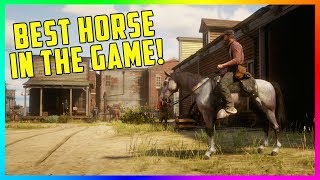 Red Dead Redemption 2 Horses  Everything You Need To Know [upl. by Killen]