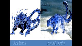 All Tailed Beast in Real LifeNaruto [upl. by Knick]