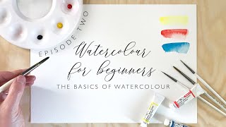 The Basics of Watercolour [upl. by Dwayne517]