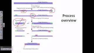 Nested PCR [upl. by Eneroc]