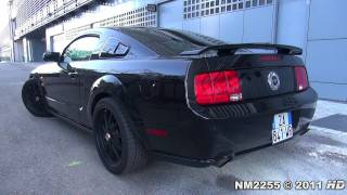 Ford Mustang GT Lovely V8 Sound  Start and Revs [upl. by Musetta]