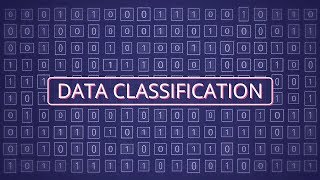 What Is Data Classification [upl. by Marlowe]