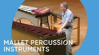 Guide to the Orchestra Mallet Percussion Instruments  Minnesota Orchestra [upl. by Art]