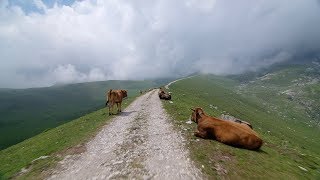 Crossing Picos de Europa  Indoor Cycling Training [upl. by Selin]