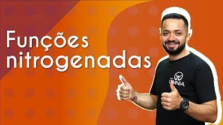 Funções nitrogenadas  Brasil Escola [upl. by Saxena]