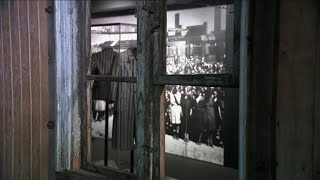 Auschwitz exhibit largest in US history set to open in New York City museum [upl. by Imalda]