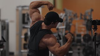 IFBB Pro Arm Workout [upl. by Eittap]