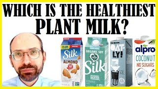 What Is The Healthiest Plant Milk [upl. by Aninep]