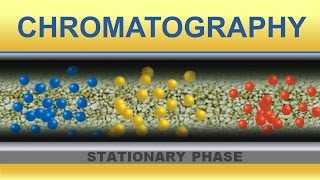 Chromatography Animation IQOGCSIC [upl. by Nilatak]