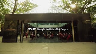 OSHO Living In Meditation Plus Program [upl. by Weihs746]