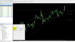 How to use the Autochartist MT4 Plugin [upl. by Haywood66]