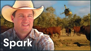 The Australian Farm So Big They Use Helicopters To Herd Cattle  Big Australia [upl. by Porte]