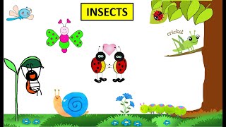 CBSE Class 4 Science Insects [upl. by Ogaitnas]