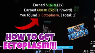 How to Get ECTOPLASM in Blox Fruits Update 12 [upl. by Rai]