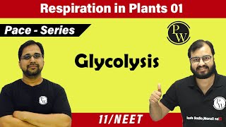 Respiration in Plants 01 Glycolysis  Class 11  Pace series  NEET [upl. by Eetak]