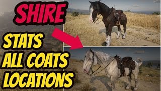 OMG BEST HORSE RDR2 Online Hiding In Plain Sight  RDO Relaxing Gameplay [upl. by Chesney236]