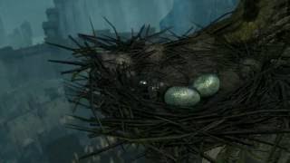 Dark Souls How to get to the Birds nest in Northern Undead Asylum  more [upl. by Patrick539]