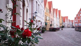 北欧暮らし🌿スウェーデンの新しい町へ引っ越す準備  Preparing to move to a new town in Sweden [upl. by Nydroj]