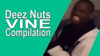 These Nuts Guy  Official Deez Nuts Vine TikTok Compilation [upl. by Yrreiht]