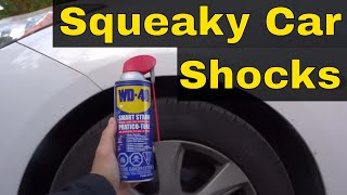 How To Fix Squeaky Car ShocksEASY Repair For A Vehicles Suspension [upl. by Treva]