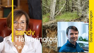 Dr Sandy Hetherington  Plant Evolution [upl. by Joellyn]