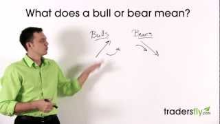 What Does a Bull and Bear Mean in the Stock Market [upl. by Rozella250]