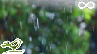 Relaxing Music amp Soft Rain Sounds  Peaceful Piano Music for Sleep amp Relaxation [upl. by Onairot125]