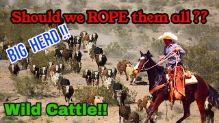 To Many Cattle to Rope [upl. by Adnyleb621]