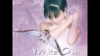 Keiko Matsui  White Owl full album [upl. by Tollmann746]