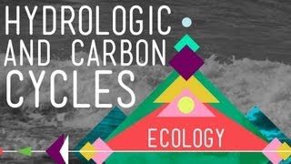 The History of Life on Earth  Crash Course Ecology 1 [upl. by Enajiram]