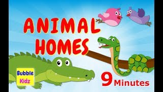 Learn About Different Animal Names And Homes  Animal Names And Homes For Kids [upl. by Seena396]