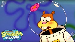 Sheriff Sandy Cheeks 🤠 Slice of Texas  Ep 2  SpongeBob [upl. by Atwood]