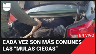 “Mulas ciegas” la peligrosa práctica que se ha vuelto común en la frontera [upl. by Fabrienne803]