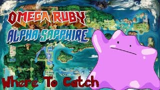 How amp Where to Catch Ditto in Pokemon Omega Ruby and Alpha Sapphire [upl. by Abdella]