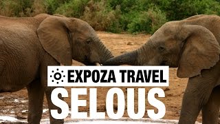 Selous Game Reserve Vacation Travel Video Guide [upl. by Ayin]