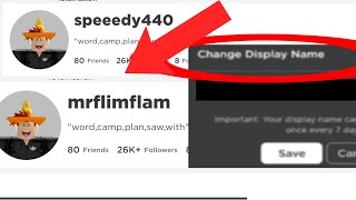 HOW TO GET A DISPLAY NAME ON ROBLOX WORKING [upl. by Nilesoy]