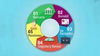 El Sistema Financiero Mexicano [upl. by Klement]