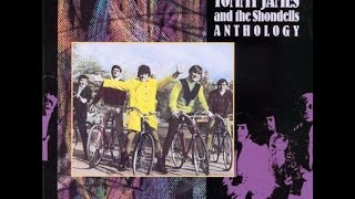 Tommy James amp The Shondells Draggin The LineLyrics [upl. by Einimod]