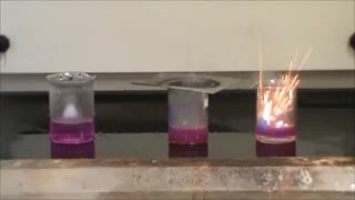 Reaction of Sodium and Water [upl. by Autum]