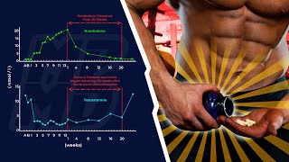 90 Of Bodybuilders Have NEVER Run A Proper PCT [upl. by Slaby]