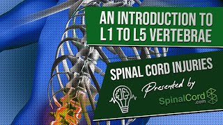 Spinal Cord Injuries L1 L2 L3 L4 amp L5 Vertebrae Explained Symptoms Recovery Causes Prognosis [upl. by Jorry]