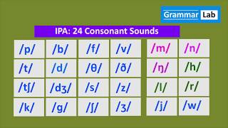 IPA 24 Consonant Sounds [upl. by Htebharas503]