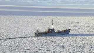 La Antártica Un Continente Sin Fronteras [upl. by Regor153]