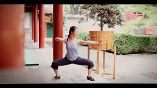 8 Brocades Qigong Practice [upl. by Hanzelin]