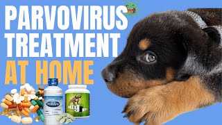 Canine Parvovirus in Dogs  Parvo Treatment at Home [upl. by Nnayllehs]