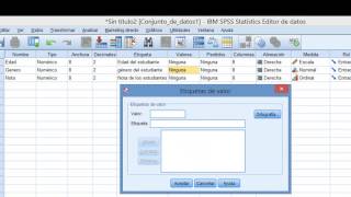 IBM SPSS Tutorial Cómo Ingresar Datos [upl. by Wiese]