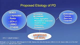 New Parkinsons Disease Medications [upl. by Adnilev]