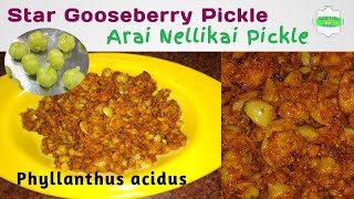 😋Star Gooseberry Pickle Arai Nellikai Pickle Instant Amla Pickle Recipe Usirikaya thokku pickle [upl. by Ahsiaa254]