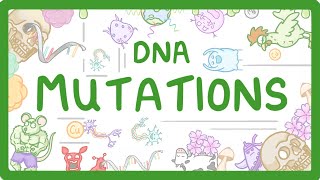 GCSE Biology  What are DNA Mutations 67 [upl. by Correna]