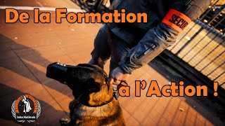 Le métier dagent cynophile Maitre chien 5ans aprés la formation [upl. by Ardys324]